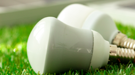 energy-efficient-light-bulb-lying-grass